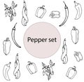 Set of hand-drawn peppers, chili, bell peppers, chili peppers on a branch.